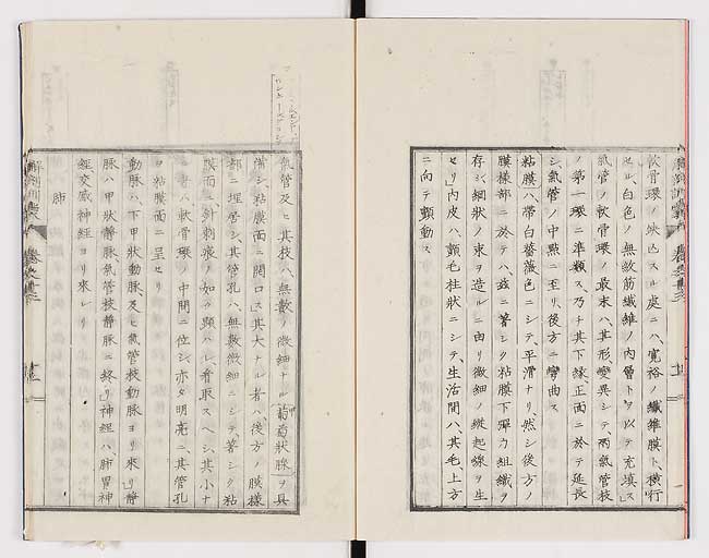 K0021s0443