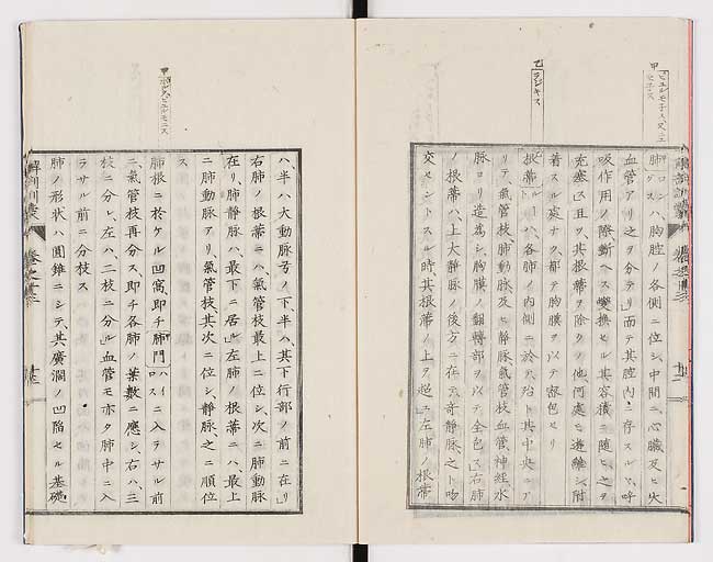 K0021s0444