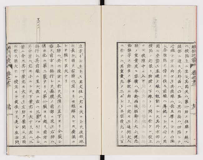 K0021s0445