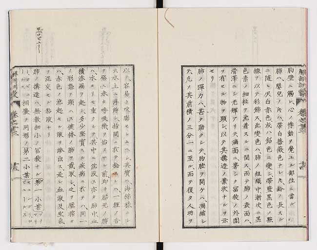 K0021s0446