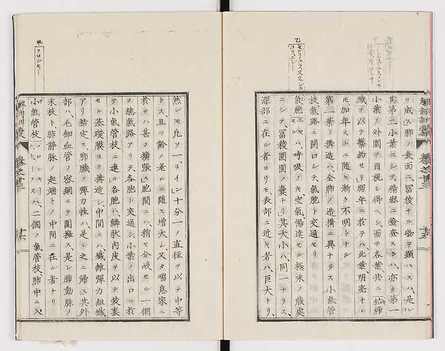 K0021s0447