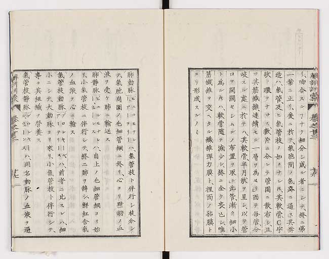 K0021s0448