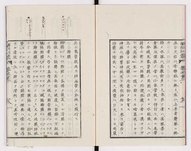 K0021s0449
