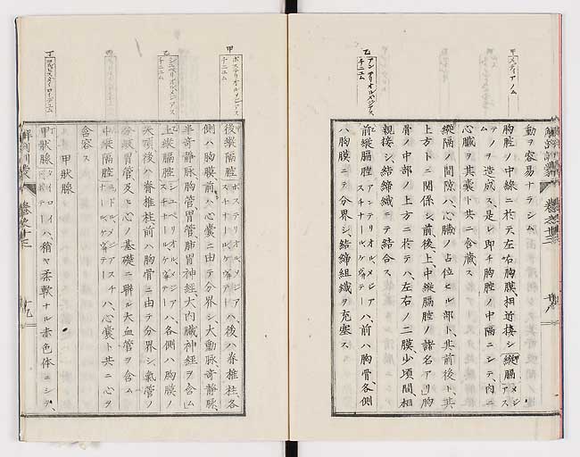 K0021s0450