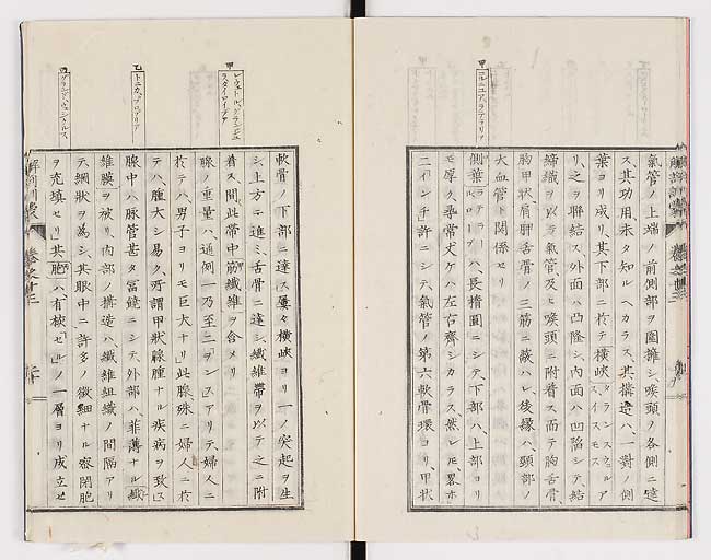 K0021s0451