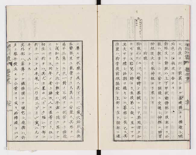 K0021s0452