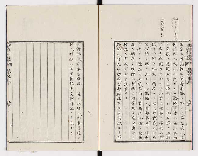 K0021s0453