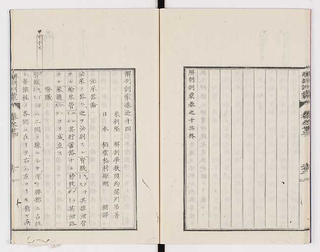 K0021s0454