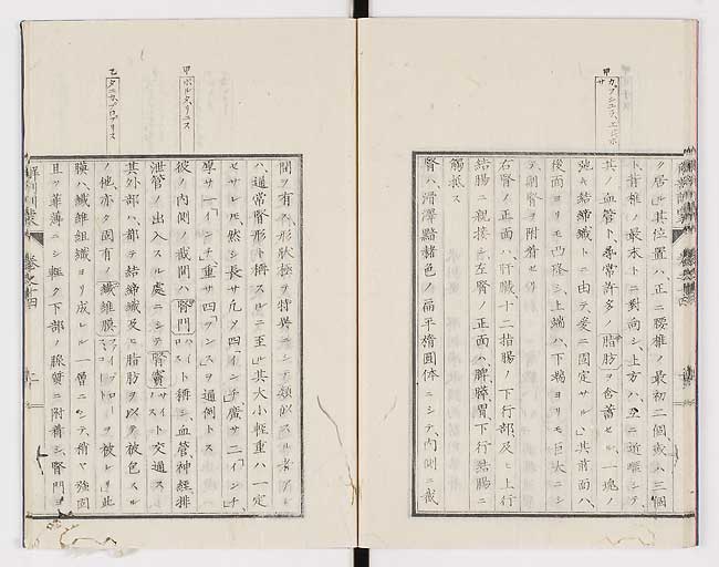 K0021s0455