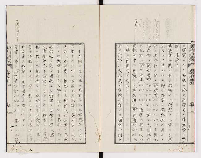K0021s0456