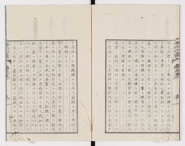 K0021s0457