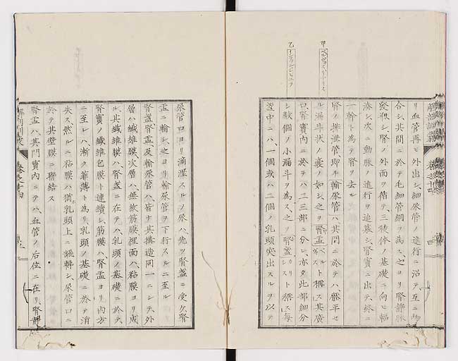 K0021s0458
