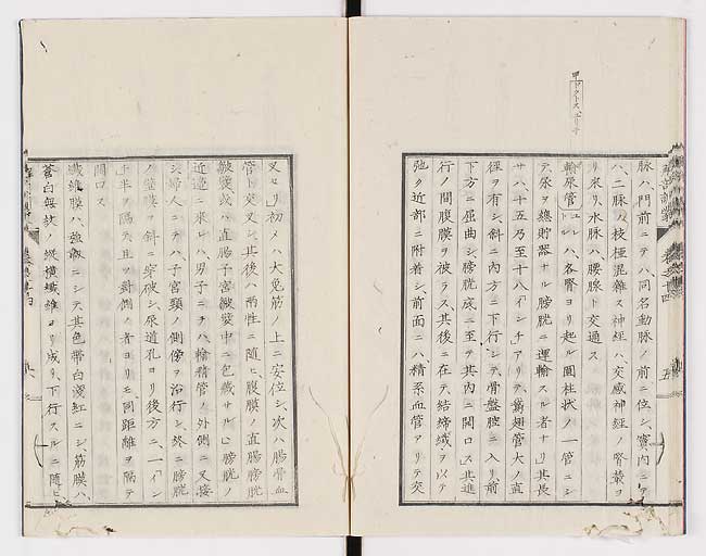 K0021s0459