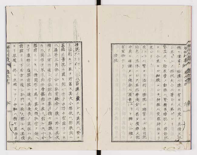 K0021s0460