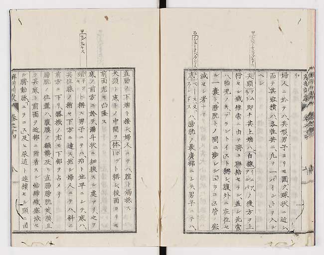 K0021s0461