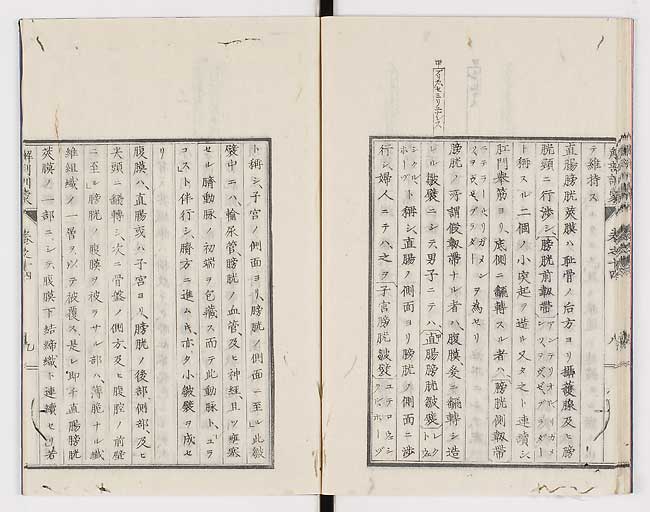 K0021s0462