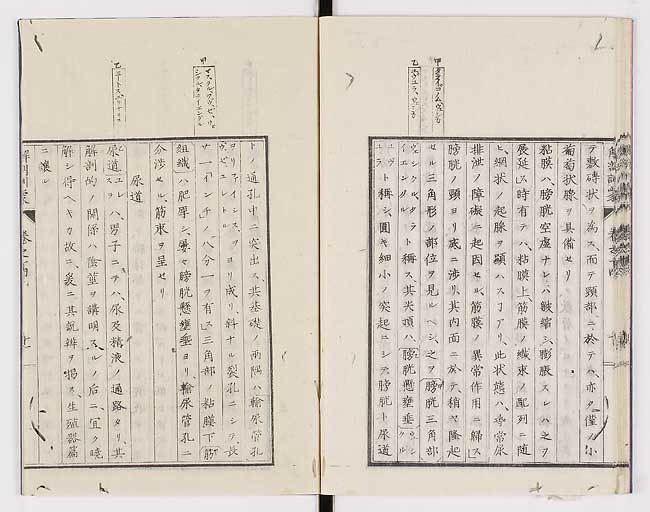 K0021s0464