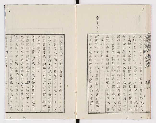 K0021s0467