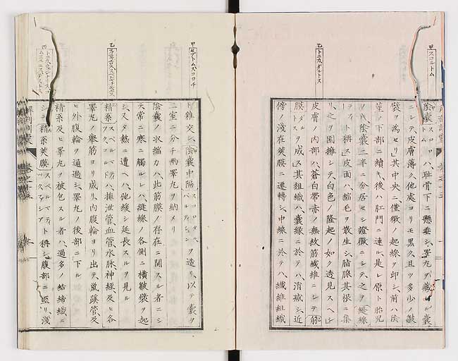 K0021s0472
