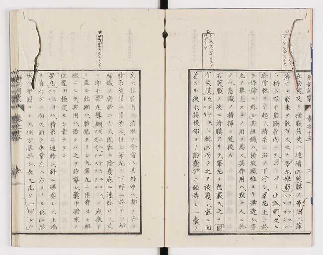 K0021s0473