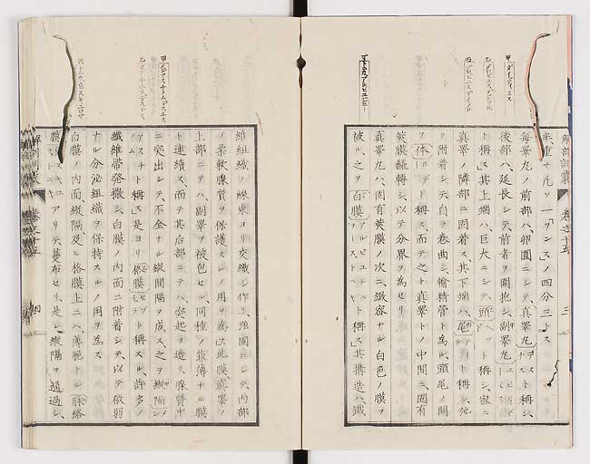 K0021s0474