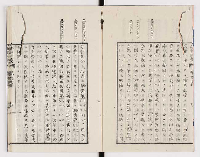 K0021s0475