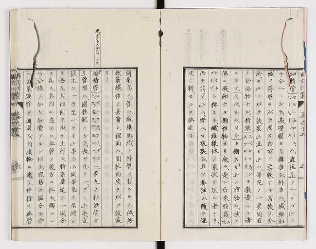 K0021s0476