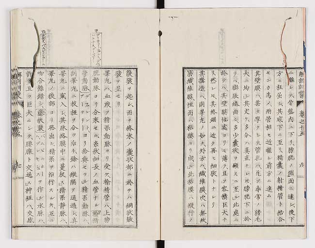 K0021s0477