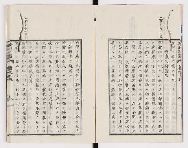 K0021s0478