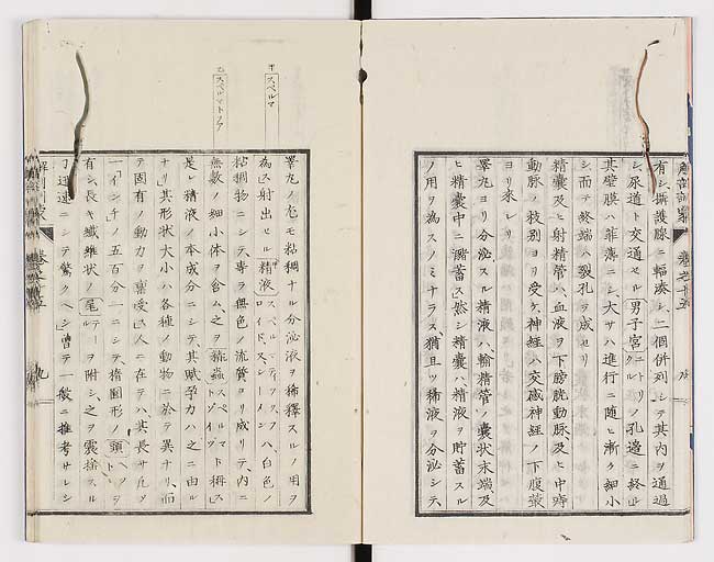 K0021s0479