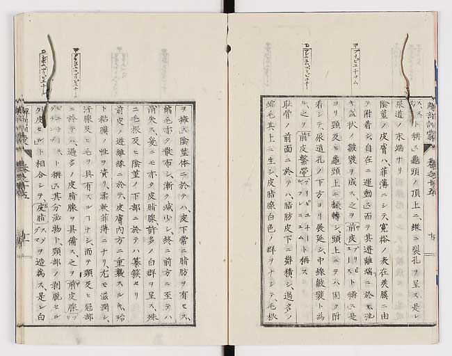 K0021s0481