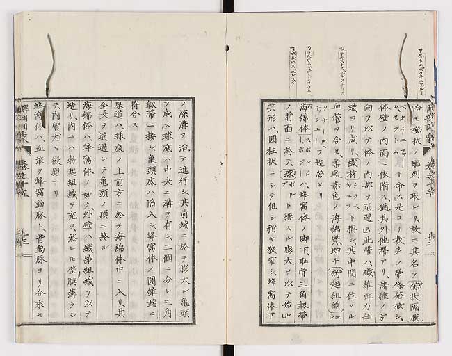 K0021s0483