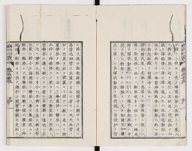 K0021s0484