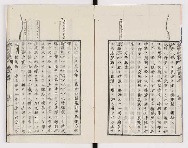 K0021s0485