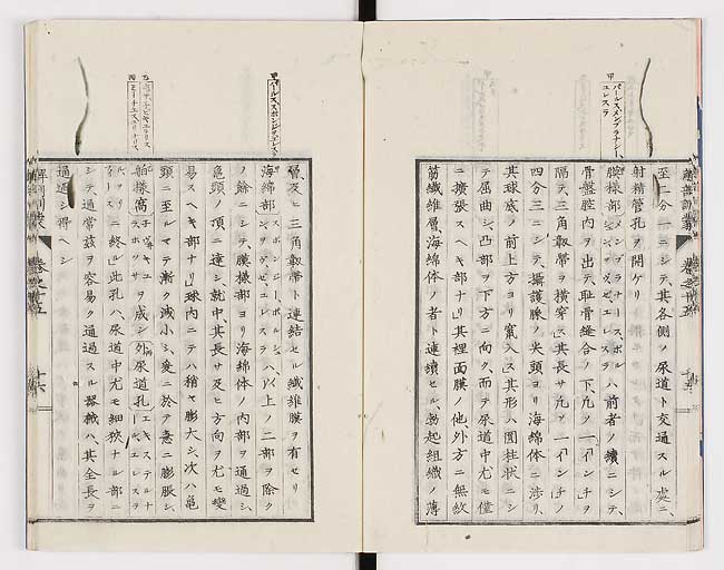 K0021s0486