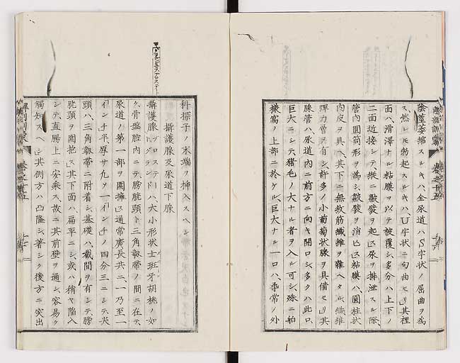 K0021s0487