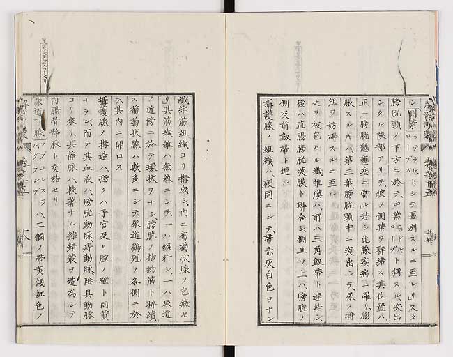 K0021s0488