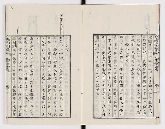 K0021s0489
