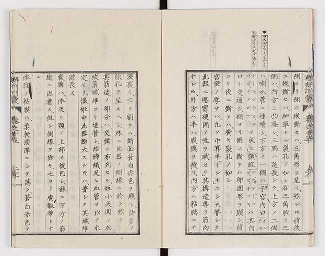 K0021s0491