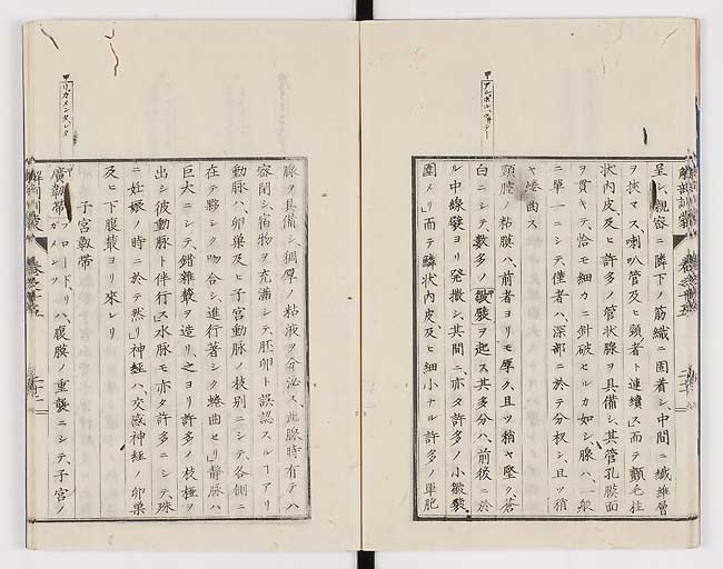 K0021s0492