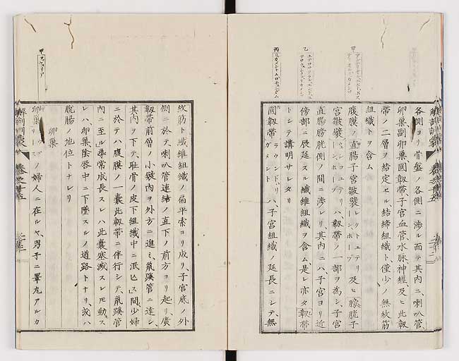 K0021s0493