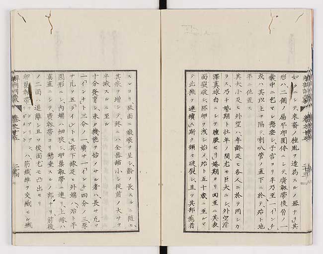 K0021s0494
