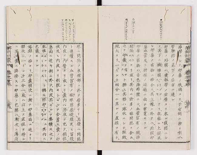 K0021s0495