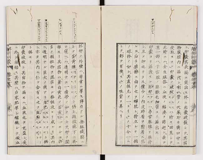 K0021s0496