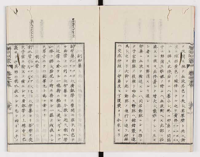 K0021s0497
