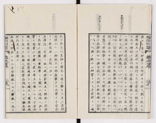 K0021s0498