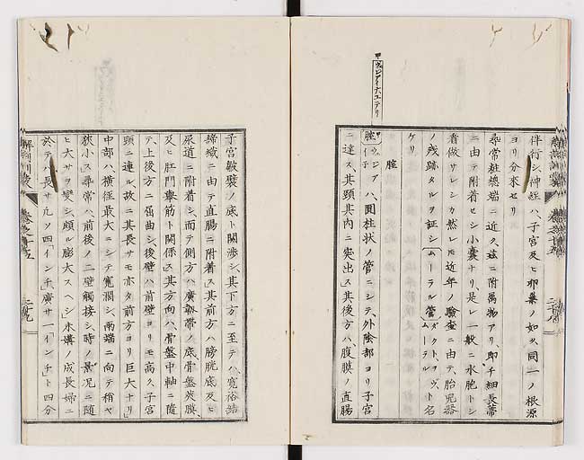 K0021s0499