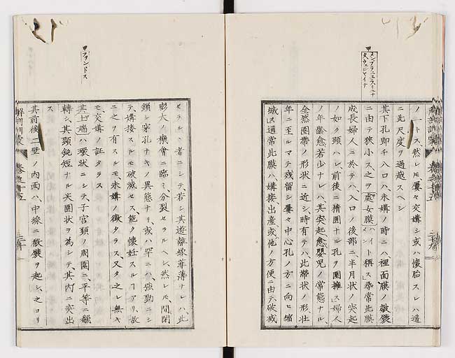 K0021s0500