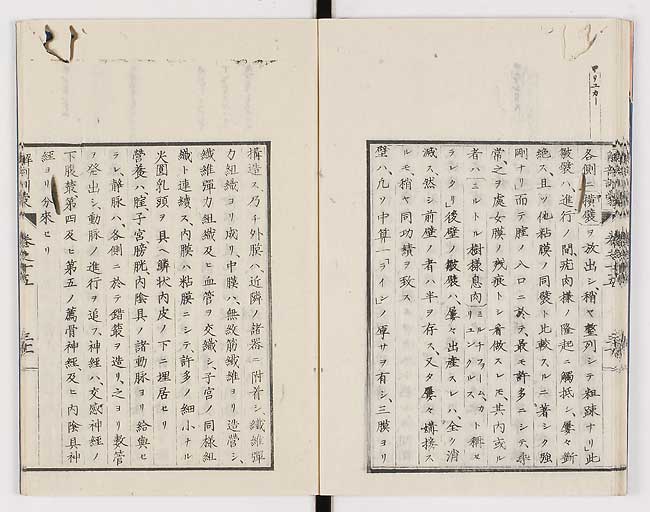 K0021s0501