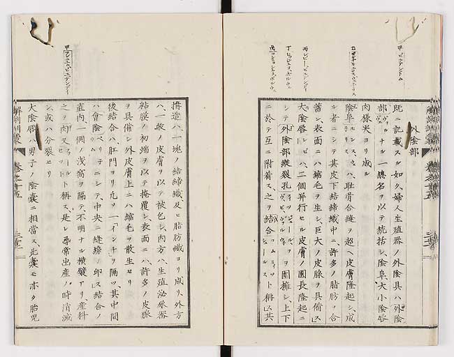K0021s0502